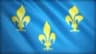 Civilization flag